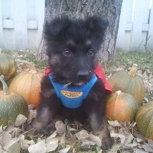 Meet your Posher, Rona